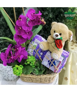 Futura Mamá Futura Mamá